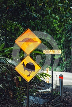 Cassowary warning sign in the rainforest