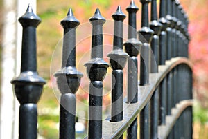 Cast Iron Fence in a Park