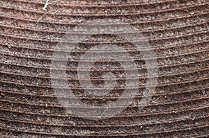 Cast-iron pancake of enameled kitchen electric stove close-up, macro shot. Dirt stuck in the ribs, corrosion of old heating