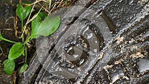 The cast iron water manhole cover is wet after a summer rain. Old vintage hatch