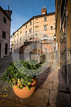 Castagneto Carducci, Leghorn, Italy - The main street Guglielmo