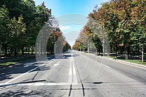 Castanilor Boulevard in Ploiesti, August 2011