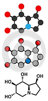 Castanospermine alkaloid molecule. Isolated from Castanospermum australe