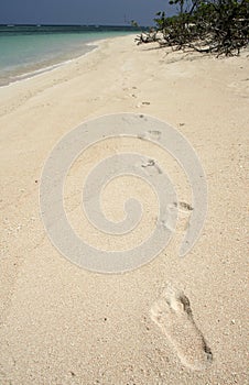 castaway footprints in sand background philippines