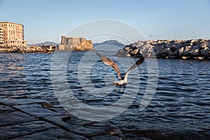  , uova castello è un terrapieno marino castello napoli 