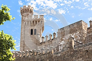 Castel in Palma de Majorca (Mallorca) photo