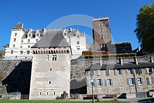 The Castel of Pau, France photo