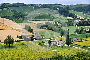 Country landscape from Castell`Arquato Piacenza, Italy photo