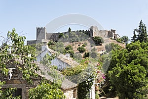 Castellar de la Frontera Castle, Andalusia, Spain photo