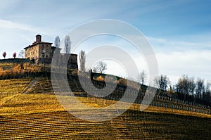 Castello della Volta and vineyards Barolo, Italy photo