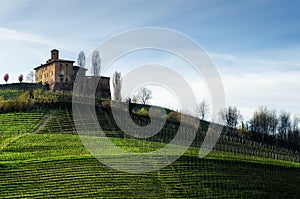 Castello della Volta and vineyards Barolo, Italy photo