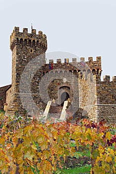 Castello di Amorosa photo