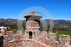 Castello di Amorosa photo