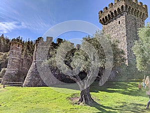 Castello Di Amorosa wine tasting tours in Napa Valley photo