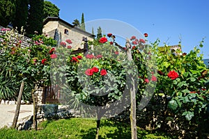 Castle of Avio, Italy photo