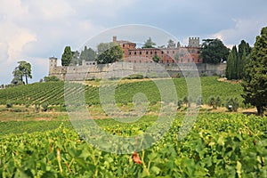 Castello Di Brolia, Italy