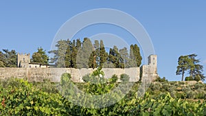 The Castello di Brolio emerges from behind a vineyard of the Chianti Classico, Tuscany, Italy