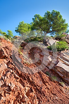 Castellon Desierto de las Palmas desert red mountains photo