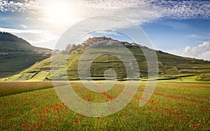 Castelluccio in a blooming field of poppies, Piano Grande, Italy