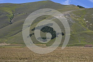Castelluccio di Norcia