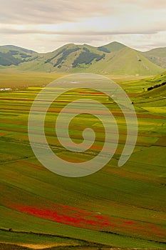 Castelluccio di Norcia photo