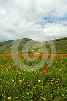 Castelluccio di Norcia photo