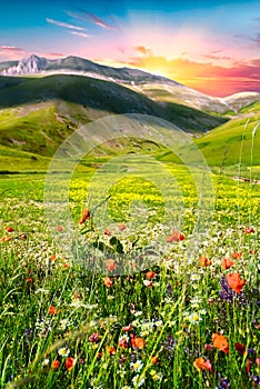 Castelluccio di Norcia