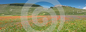 Castelluccio di Norcia in the Sibillini Park