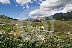 Castelluccio di Norcia - Umbria - Italy