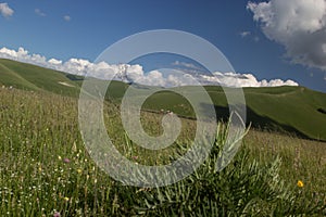 Castelluccio di Norcia - Umbria - Italy