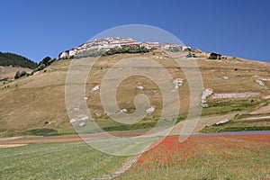 Castelluccio di Norcia / view