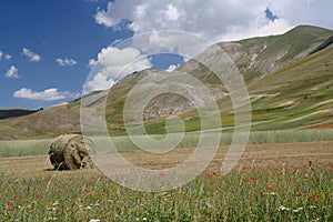 Castelluccio di Norcia / view