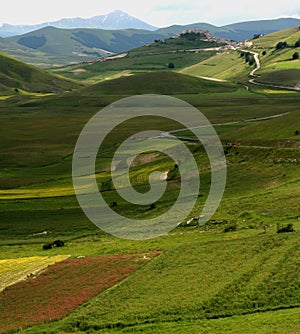 Castelluccio /spring landscape