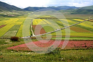 Castelluccio /spring landscape