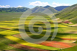 Castelluccio summer landscape