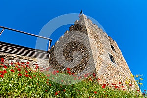 Castelo de Belver - Muralhas - Castle