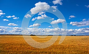 Castile La Mancha cereal fields in Cuenca