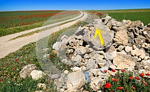 Castile La Mancha saint James Way Spain