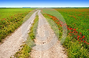 Castile La Mancha saint James Way Spain