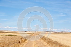 Castile and Leon region rural landscape, Spain