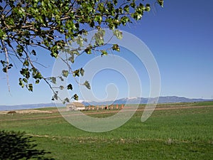 Castilian fields