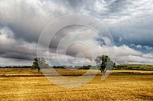 Castilian landscape