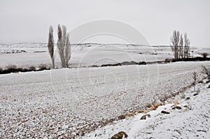 Castilian landscape at winter, Spain photo