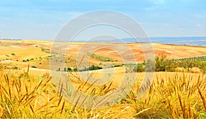 Castilian landscapes