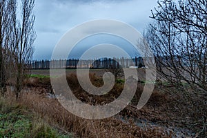 Castilian masseta landscape in winter