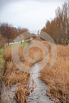 Castilian masseta landscape in winter