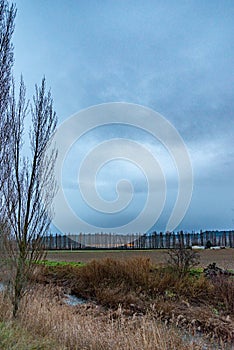 Castilian masseta landscape in winter