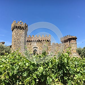 Castillo De Amoroso photo