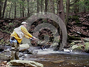 Casting for Trout