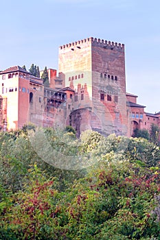 Castle of the Alhambra